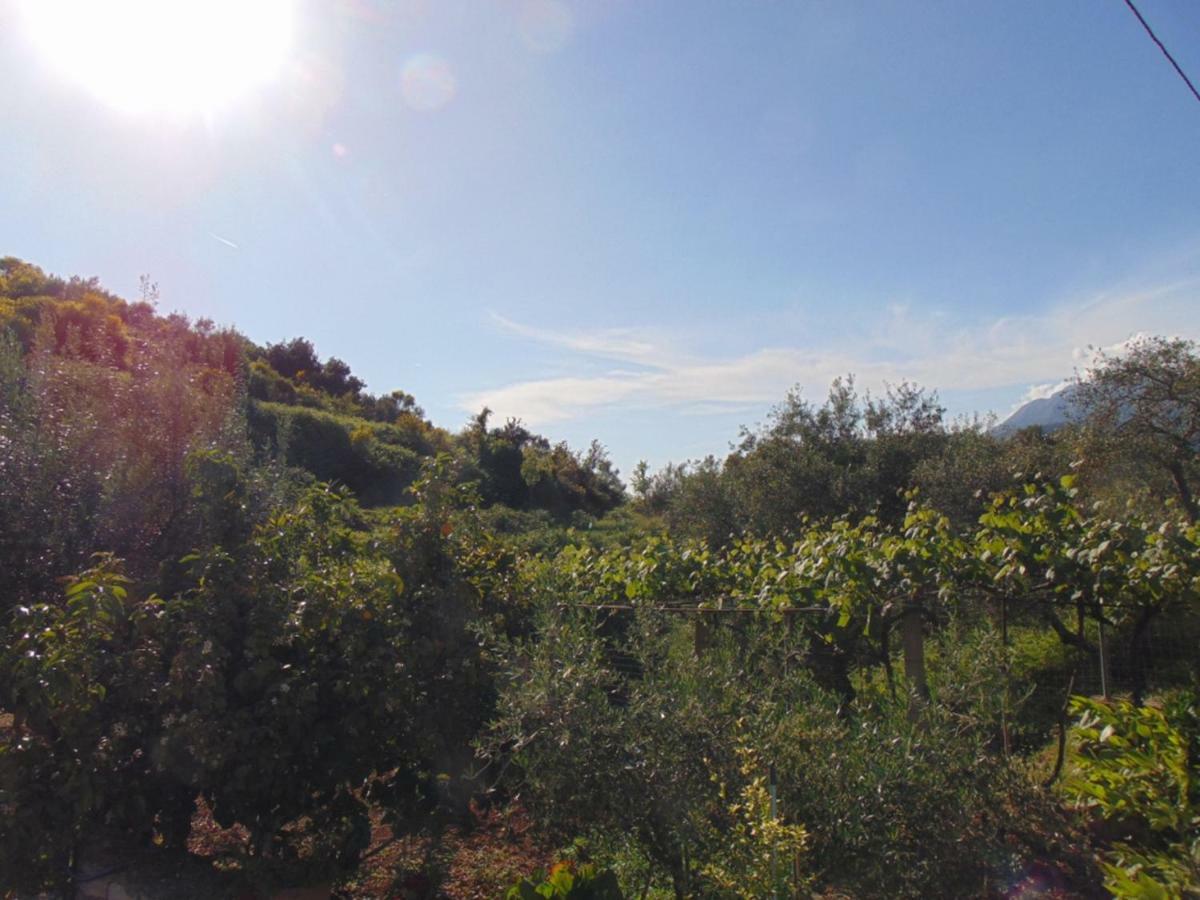 Hida Hotel apartamentowy *