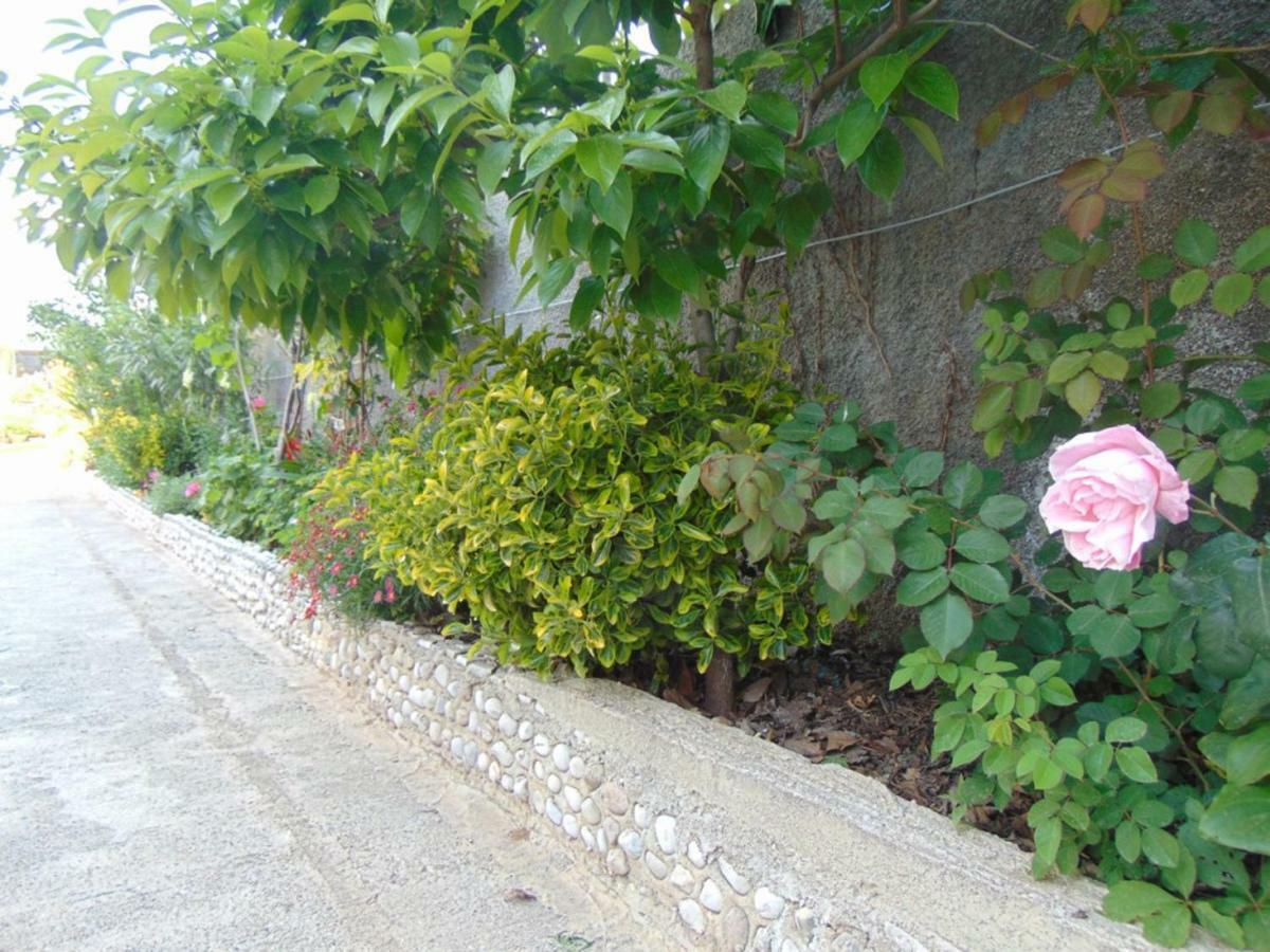 Hida